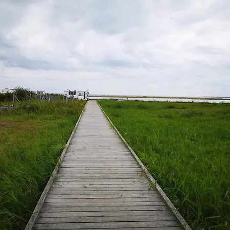 6 Person In Hadsund-by Traum